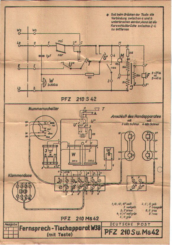 W38_1_BpSp W38_1_BpSp